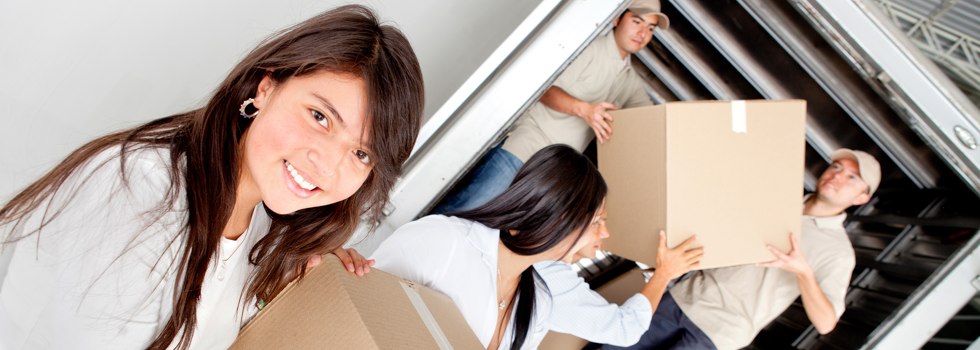 Professional Removalists Mount Toolebewong
